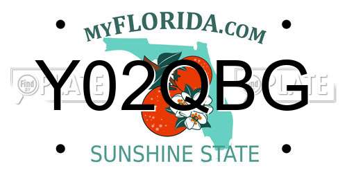 Y02QBG Florida License Plate