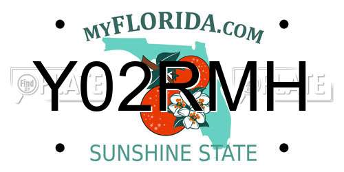 Y02RMH Florida License Plate