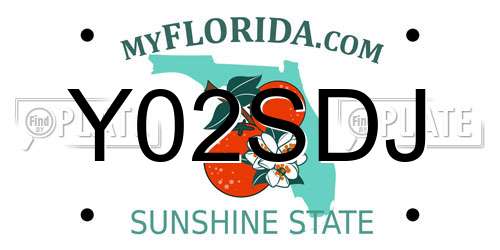 Y02SDJ Florida License Plate