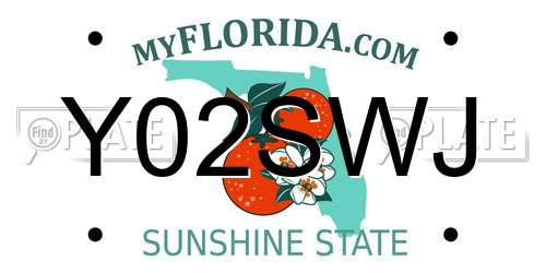 Y02SWJ Florida License Plate