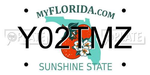 Y02TMZ Florida License Plate