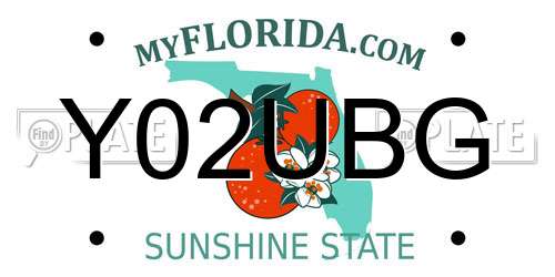 Y02UBG Florida License Plate