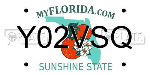 Y02VSQ Florida License Plate
