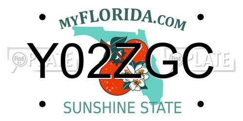 Y02ZGC Florida License Plate