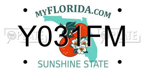 Y031FM Florida License Plate