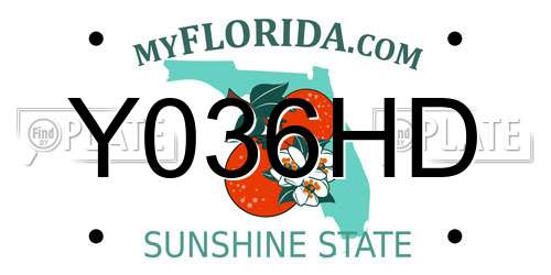 Y036HD Florida License Plate