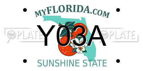 Y03A Florida License Plate