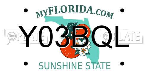Y03BQL Florida License Plate