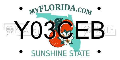 Y03CEB Florida License Plate