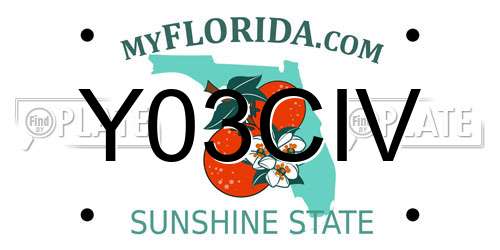 Y03CIV Florida License Plate