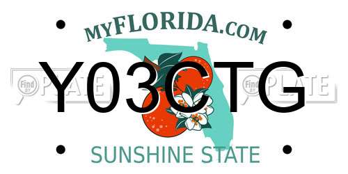 Y03CTG Florida License Plate