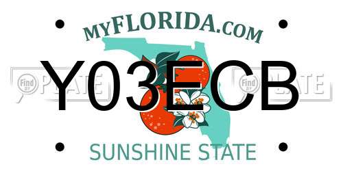 Y03ECB Florida License Plate