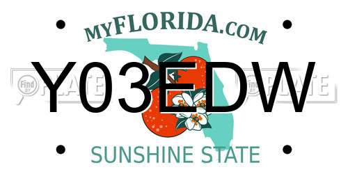 Y03EDW Florida License Plate