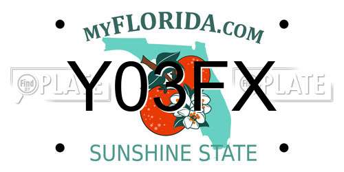 Y03FX Florida License Plate