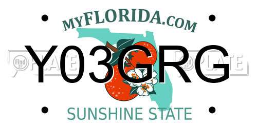 Y03GRG Florida License Plate