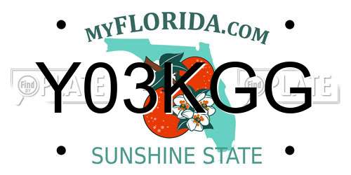 Y03KGG Florida License Plate