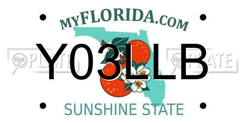 Y03LLB Florida License Plate