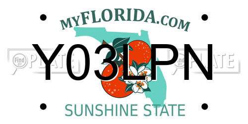 Y03LPN Florida License Plate