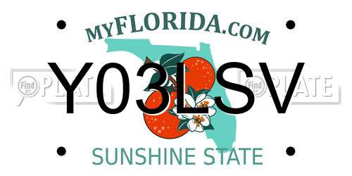 Y03LSV Florida License Plate