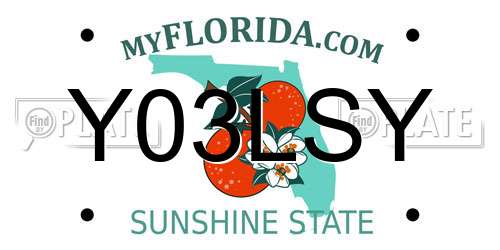 Y03LSY Florida License Plate