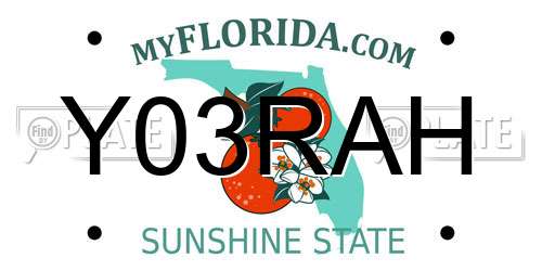 Y03RAH Florida License Plate