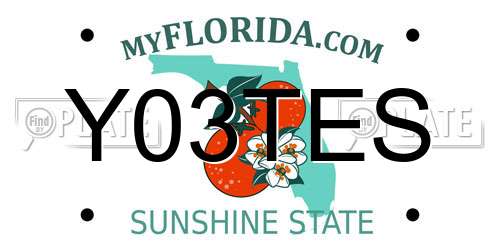 Y03TES Florida License Plate