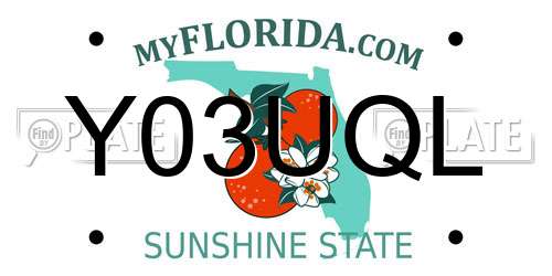 Y03UQL Florida License Plate