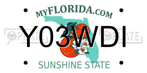 Y03WDI Florida License Plate