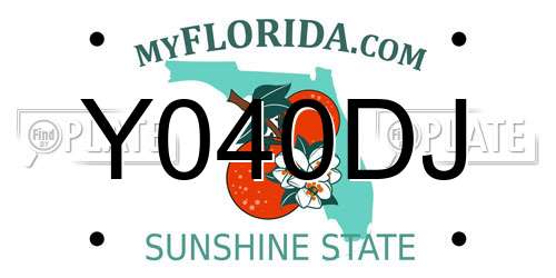 Y040DJ Florida License Plate