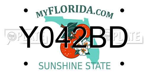 Y042BD Florida License Plate