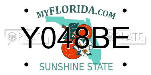 Y048BE Florida License Plate