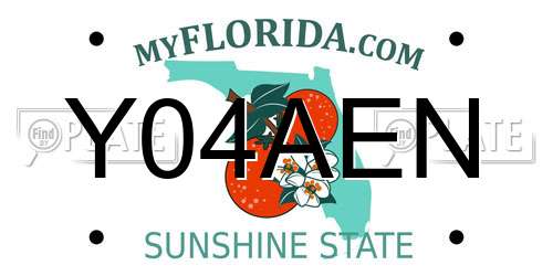 Y04AEN Florida License Plate