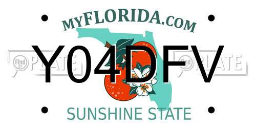 Y04DFV Florida License Plate