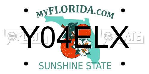 Y04ELX Florida License Plate