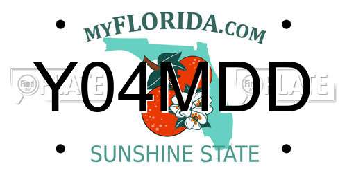 Y04MDD Florida License Plate