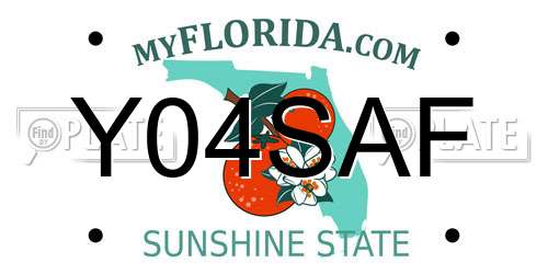 Y04SAF Florida License Plate