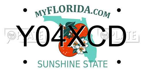 Y04XCD Florida License Plate
