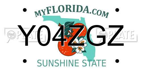Y04ZGZ Florida License Plate