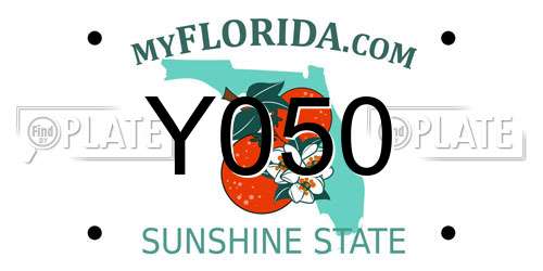 Y050 Florida License Plate