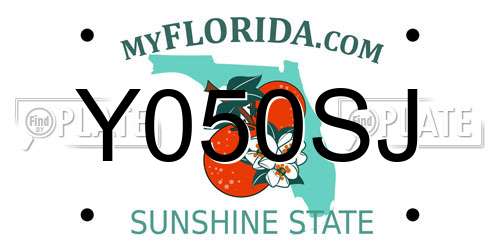 Y050SJ Florida License Plate