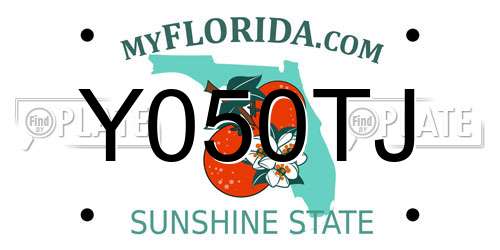 Y050TJ Florida License Plate