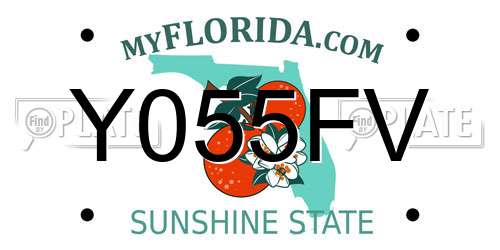 Y055FV Florida License Plate