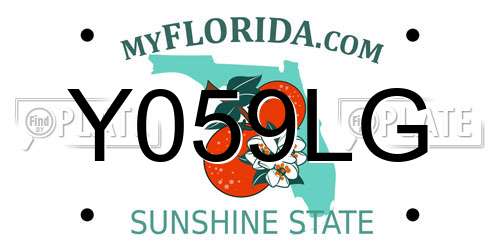 Y059LG Florida License Plate