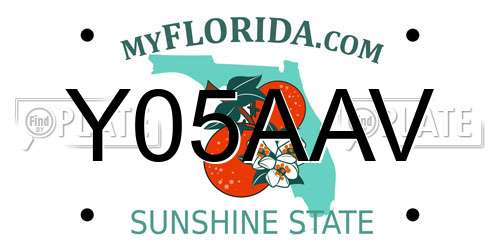 Y05AAV Florida License Plate