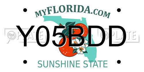 Y05BDD Florida License Plate