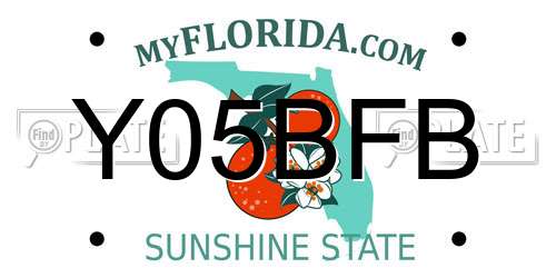 Y05BFB Florida License Plate