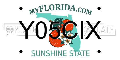 Y05CIX Florida License Plate