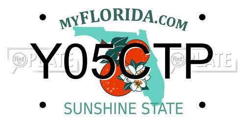 Y05CTP Florida License Plate