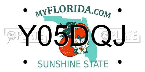 Y05DQJ Florida License Plate