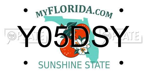 Y05DSY Florida License Plate